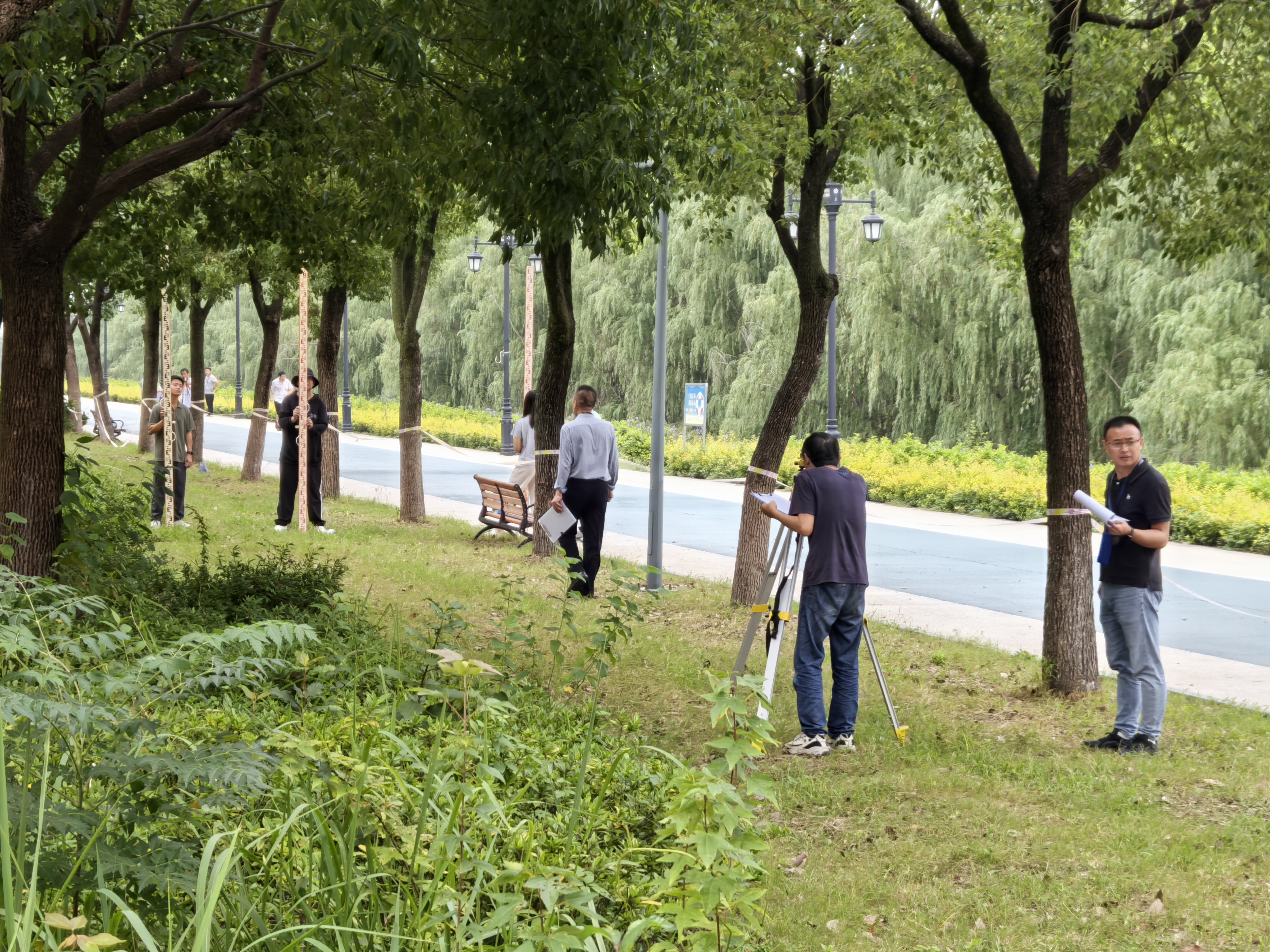 实操考试-&ldquo;水文三等水准测量&rdquo;现场