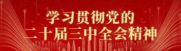 学习贯彻党的二十届三中全会精神